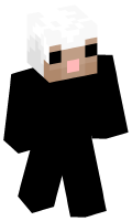 Skinfile