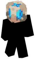 Skinfile