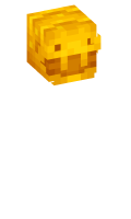 Skinfile