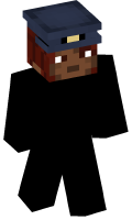 Skinfile