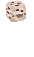 Skinfile