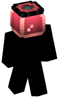 Skinfile