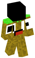 Skinfile