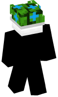 Skinfile