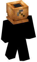 Skinfile