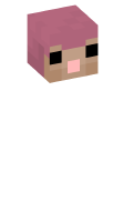 Skinfile