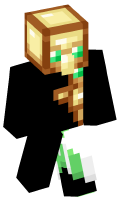 Skinfile