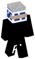 Skinfile