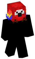 Skinfile