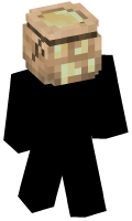 Skinfile