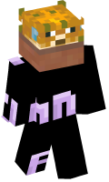 Skinfile