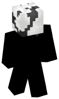 Skinfile