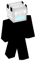 Skinfile