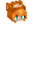 Skinfile