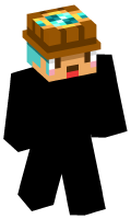 Skinfile