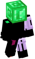 Skinfile