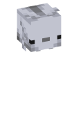 Skinfile
