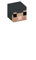 Skinfile