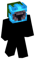 Skinfile