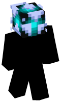 Skinfile