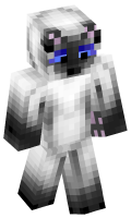 Skinfile