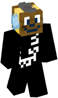 Skinfile