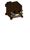 Skinfile