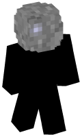 Skinfile