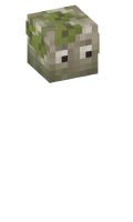 Skinfile