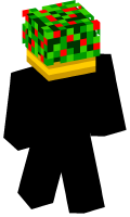 Skinfile
