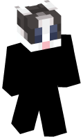 Skinfile