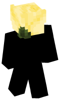 Skinfile
