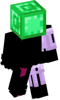 Skinfile