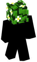 Skinfile