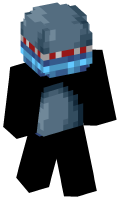 Skinfile