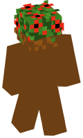 Skinfile