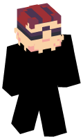 Skinfile