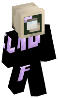 Skinfile