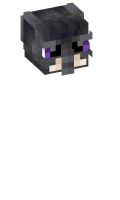 Skinfile