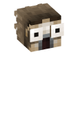 Skinfile