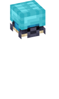 Skinfile