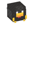 Skinfile