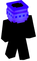 Skinfile
