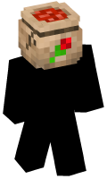 Skinfile