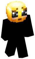 Skinfile