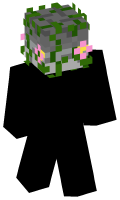 Skinfile