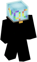 Skinfile
