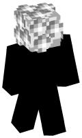 Skinfile