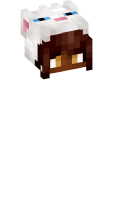 Skinfile
