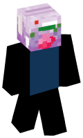 Skinfile